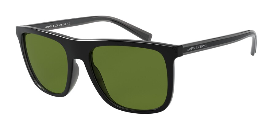 ARMANI EXCHANGE 4102S