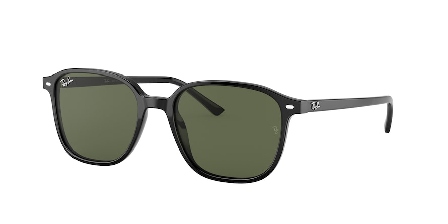 RAY BAN 2193