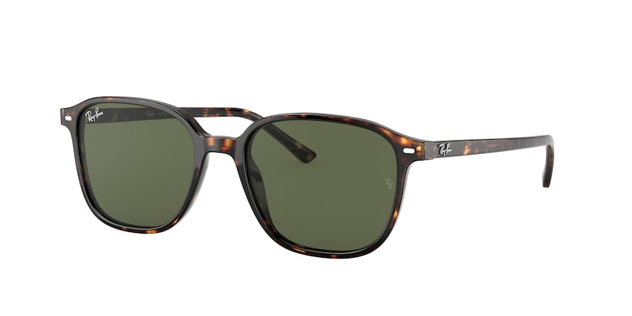 RAY BAN 2193
