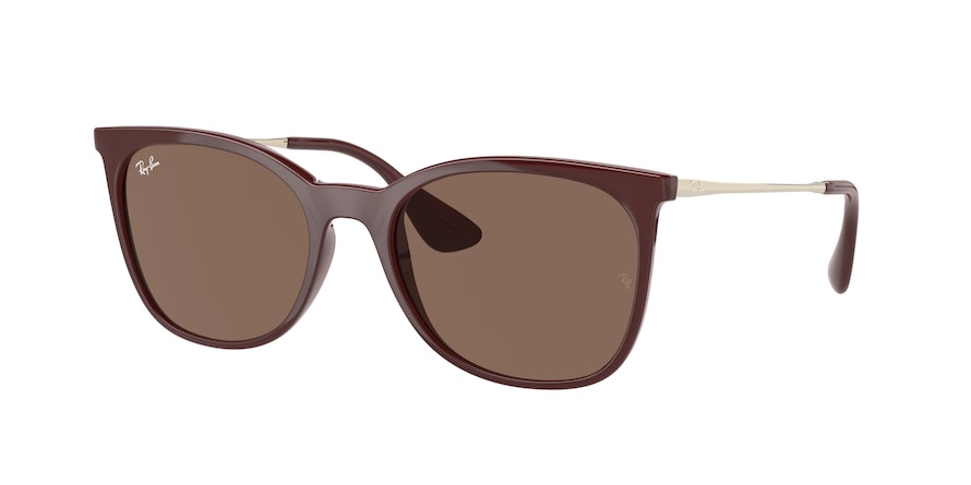RAY BAN 4326L
