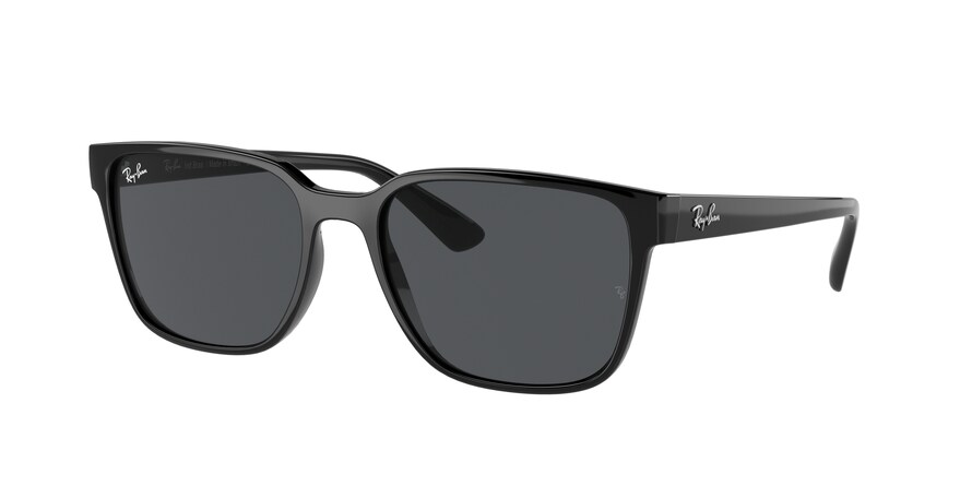 RAY BAN 4339L